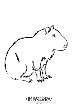 Capybara