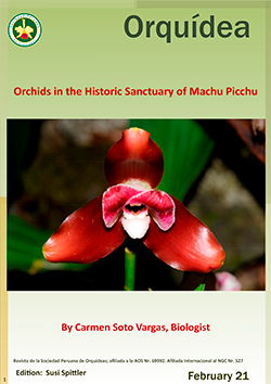 Orchids in the Historic Sanctuary of Machu Picchu