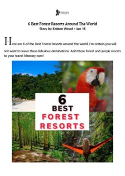 6 best forest resorts around the world – Msn.com – 2023.01