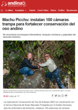 MACHU PICCHU: INSTALAN 100 CÁMARAS TRAMPA PARA FORTALECER CONSERVACIÓN DEL OSO ANDINO – ANDINA.PE 07.23