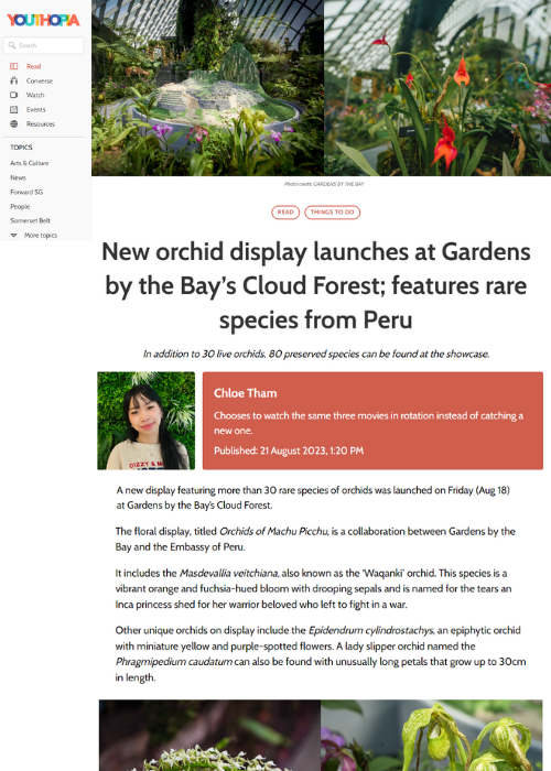 YOUTHOPIA – NEW ORCHID DISPLAY LAUNCHES AT GARDENS BY THE BAY’S CLOUD FOREST; FEATURES RARE SPECIES FROM PERU – 08.23