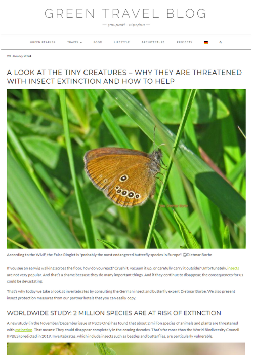 A LOOK AT THE TINY CREATURES – WHY THEY ARE THREATENED WITH INSECT EXTINCTION AND HOW TO HELP – GREEN TRAVEL BLOG – 01.24