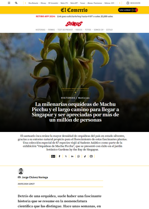 LA MILENARIAS ORQUÍDEAS DE MACHU PICCHU Y EL LARGO CAMINO PARA LLEGAR A SINGAPUR Y SER APRECIADAS POR MÁS DE UN MILLÓN DE PERSONAS – SOMOS – EL COMERCIO – 05.24