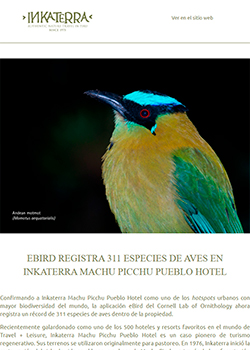 Newsletter - Enero