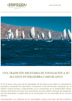 Newsletter - Julio