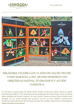 Newsletter - Julio