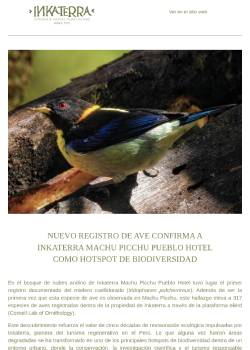 Newsletter - Junio